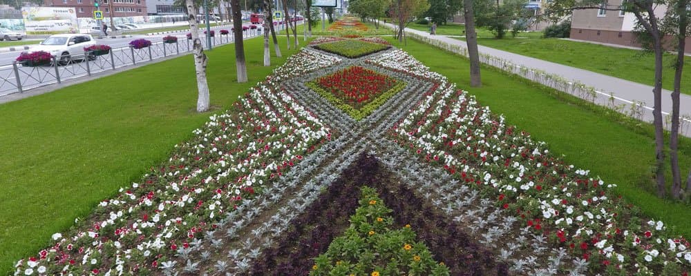 Услуги озеленения городских территорий